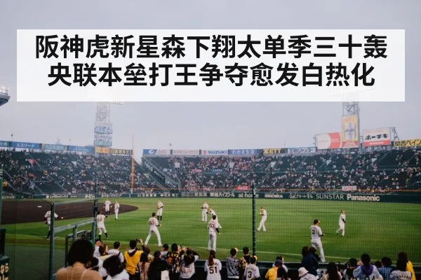 阪神虎新星森下翔太单季三十轰 央联本垒打王争夺愈发白热化