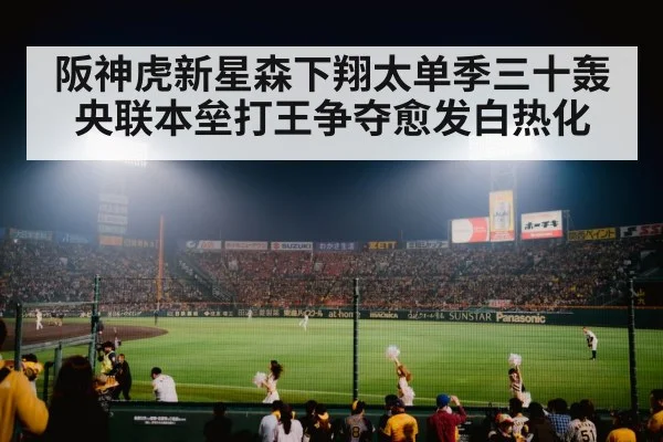baseball stadium night game