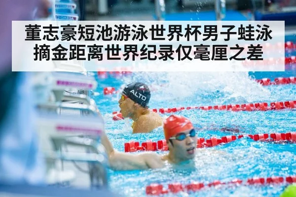 swimmer touching finish